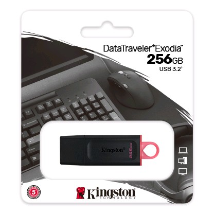 Накопитель Flash USB3.2 drive KINGSTON Data Traveler Exodia 256Gb RET Black + Pink [DTX/256GB]