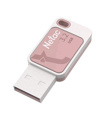 Накопитель Flash USB3.2 drive Netac UA31 256Gb RET [NT03UA31N-256G-32PK]